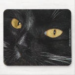Black cat mousepad