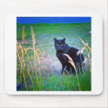 Black Cat