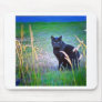 Black Cat