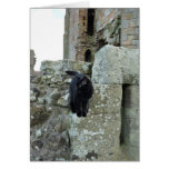 "Black Cat on a Castle Wall" (2) Cards