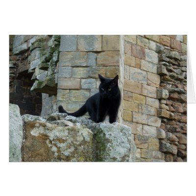 "Black Cat on a Castle Wall" (3) by MaryMcandrew