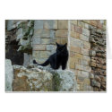 "Black Cat on a Castle Wall" (3) cards