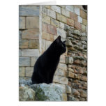 "Black Cat on a Castle Wall" Card