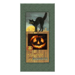 Black cat on a wooden fence with pumpkin photo greeting card