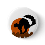 Black Cat On Fence Pins
