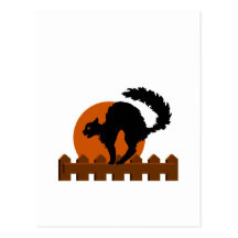 Black Cat On Fence Postcard