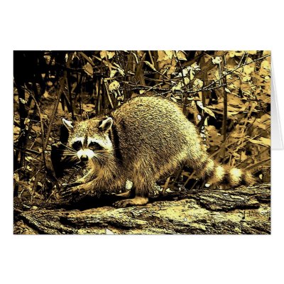 BLACK CAT ON TREE by THEGRAYFOX