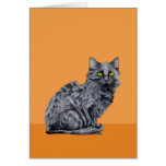 Black Cat orange Card