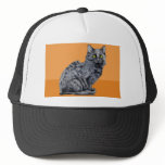 Black Cat orange Hat