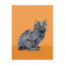 Black Cat orange Postcard