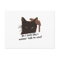 black cat