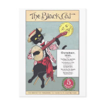 Black Cat Postcard