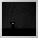 BLACK CAT posters