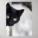 Black Cat print