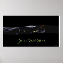 Black Cat Print