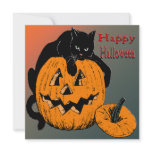 Black Cat Pumpkin Halloween Invitation