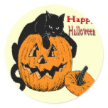Black Cat Pumpkin