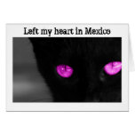 Black Cat Purple Eyes; Mexico Souvenir Cards