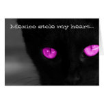 Black Cat Purple Eyes; Mexico Souvenir Greeting Cards