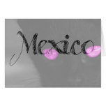 Black Cat Purple Eyes; Mexico Souvenir Greeting Cards