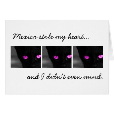 Black Cat Purple Eyes; Mexico Souvenir Card by Picture_Imperfect