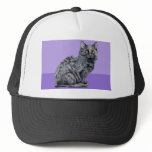 Black Cat purple Hat