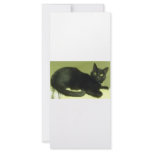 BLACK CAT FULL COLOR RACK CARD