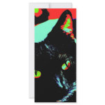 Black Cat