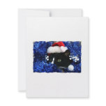 Black Cat, Santa hat, blue tinsel, ready to pounce Announcement