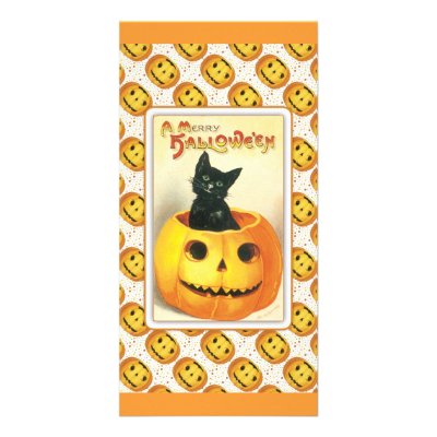 Black cat sitting in a pumpkin - halloween design personalized photo card by karanta