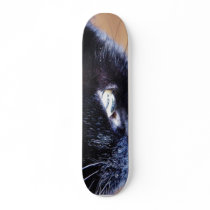 Black Cat Skateboard