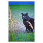 Black Cat