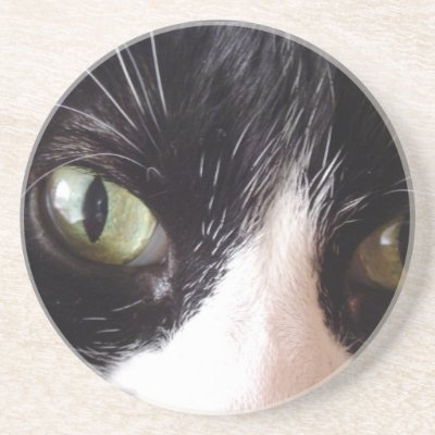 Black Cat, White Whiskers, Green Eyes Coasters by susan52z