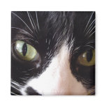 Black Cat, White Whiskers, Green Eyes Magnets