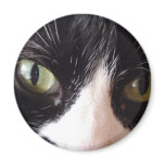 Black Cat, White Whiskers, Green Eyes Fridge Magnets