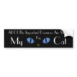 Black Cat With Big Blue Eyes Bumper Sticker