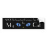 Black Cat With Big Blue Eyes Bumper Sticker