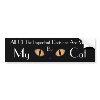 Black Cat With Big Orange Eyes Bumper Stickers by JaZilla