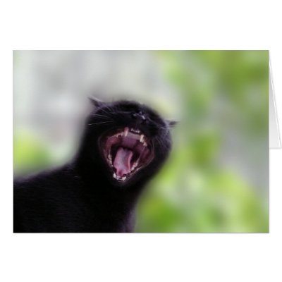Black Cat Yawning by AnimalDreams