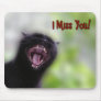 Black Cat Yawning