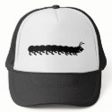 black caterpillar hats