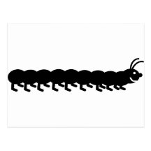black caterpillar post card