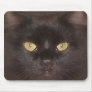 black cats eyes mouse mats