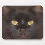 black cats eyes mousepads