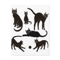 Black Cats Postcard