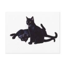black cats postcard