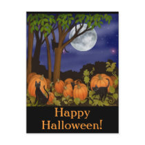 Black Cats & Pumpkins Halloween Postcard