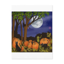 Black Cats & Pumpkins Postcard