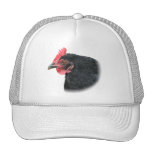 Black chicken hat
