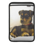 Black Chihuahua 11" MacBook Sleeve